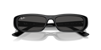 Sonnenbrille  Ray-Ban 0RB4436D__667787 - 0RB4436D__667787